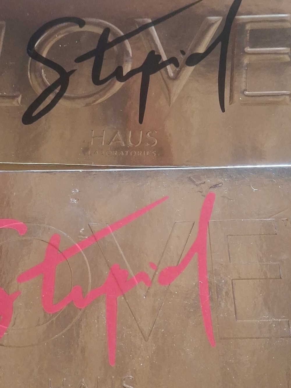 Haus Labs By Lady Gaga Eyeshadow Palette with Black and Hot Pink Accents